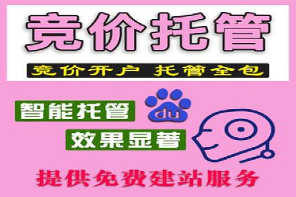 百度竞价包年服务：优化广告投放策略